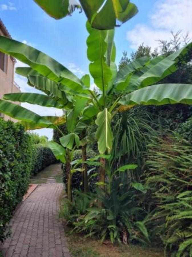 Nice Studio 30 M With Terrace And Pool Antibes Extérieur photo